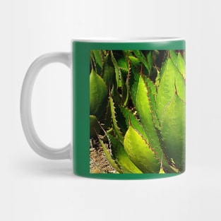 Succulent Mug